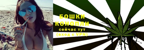 гашик Няндома