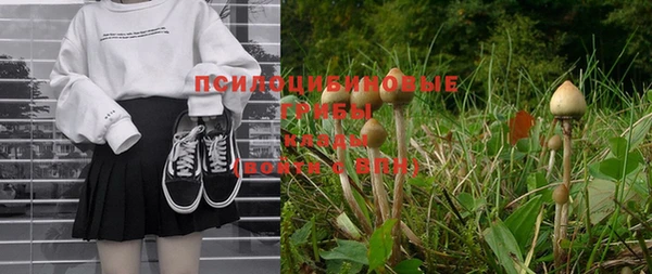 гашик Няндома